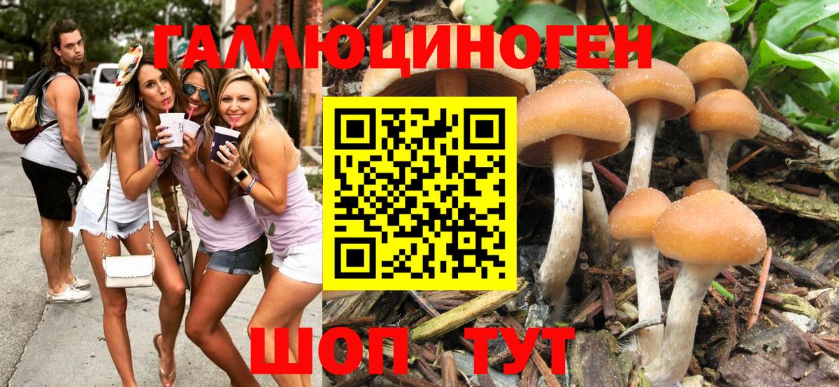 Псилоцибиновые грибы Magic Shrooms  Вход с VPN  Семёнов 